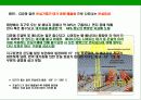 지구온난화 현상과 교토 의정서 (Kyoto Protocol) 에 대한 이해  15페이지