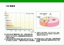 지구온난화 현상과 교토 의정서 (Kyoto Protocol) 에 대한 이해  19페이지