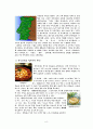 [인문과학] 유럽의 음식문화 [분석/조사] 6페이지