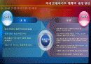 국내프랜차이즈 현황과 발전방안 14페이지