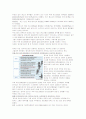 정치경제레포트 A+받은 레포트-죄악세에 대해 5페이지