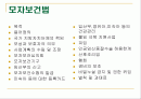 [보건의료법규]모자보건법 2페이지