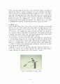 일본의 꽃꽂이 22페이지