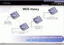 WCG활성화 광고 pr 기획서 3페이지