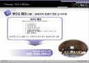 WCG활성화 광고 pr 기획서 35페이지
