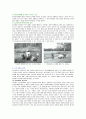 [독일 숲유치원 프로그램에 대하여(유래, 프로그램 종류, 사진자료 등)] 3페이지