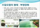 수질오염에 대한 발표자료 12페이지