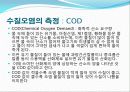 수질오염에 대한 발표자료 19페이지