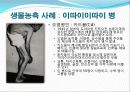 수질오염에 대한 발표자료 27페이지