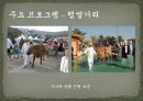 이천쌀문화축제 조사 17페이지