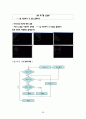 기초 C프로그램 (소수구하기,야구게임,최대값등) 28페이지