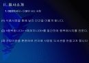 네네치킨 성공요인 분석 PPT자료 - 차별화된 상품력, 가격정책, 입지전략, 광고 전략 4페이지