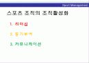 스포츠경영관리 13페이지