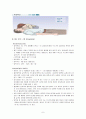 CPR(심폐소생술) Cardio-Pulmonary Resuscitation 8페이지