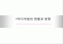 미디어법의 현황과 방향 1페이지