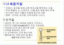 지질과 지질성 식품 7페이지