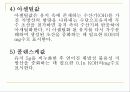 지질과 지질성 식품 25페이지