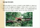 호주여행계획 26페이지