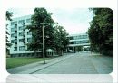 바우하우스 응용미술학교[Bauhaus] 16페이지