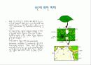 오존의한 수목피해사례 11페이지