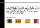 데스틸[de stijl]  4페이지