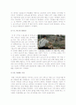 줄무늬 파자마를 입은 소년 [줄무늬 파자마를 입은 소년 영화 감상문] 줄무늬 파자마를 입은 소년 감상문[줄무늬파자마를입은소년][영화 줄무늬파자마를입은소년] 2페이지