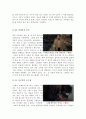 피아니스트 [피아니스트 감상문] 피아니스트 영화감상문[영화 피아니스트 감상문][홀로코스트영화 피아니스트 감상문] 5페이지