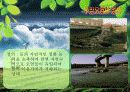 [A+ 완성]ppt 발표본 (수질오염과 해양오염에 대해서 )-환경오염원인- 3페이지