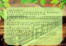[A+ 완성]ppt 발표본 (수질오염과 해양오염에 대해서 )-환경오염원인- 8페이지