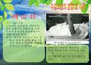 [A+ 완성]ppt 발표본 (수질오염과 해양오염에 대해서 )-환경오염원인- 10페이지