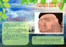 [A+ 완성]ppt 발표본 (수질오염과 해양오염에 대해서 )-환경오염원인- 12페이지