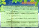 [A+ 완성]ppt 발표본 (수질오염과 해양오염에 대해서 )-환경오염원인- 14페이지