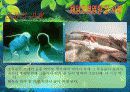 [A+ 완성]ppt 발표본 (수질오염과 해양오염에 대해서 )-환경오염원인- 18페이지