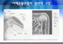 관절염예방과운동방법 12페이지
