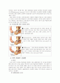 염좌의 모든것 5페이지