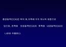 C E R E V R A L V  A S C U L A  A N A T O M Y 3페이지