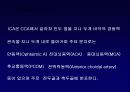 C E R E V R A L V  A S C U L A  A N A T O M Y 6페이지