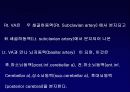 C E R E V R A L V  A S C U L A  A N A T O M Y 13페이지