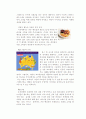 아웃백 스테이크 하우스 성공 사례 분석 및 SWOT 15페이지