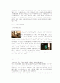 아웃백 스테이크 하우스 성공 사례 분석 및 SWOT 22페이지