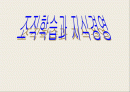 학습조직과 지식경영의 이론과 특성 1페이지