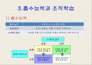 학습조직과 지식경영의 이론과 특성 12페이지