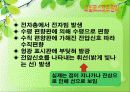 오실로스코프  4페이지