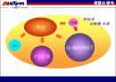 옥션 - 상황분석자료 31페이지