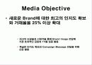 훌랄라 치킨 매체계획서 6페이지