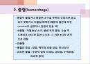 상처간호PPT 24페이지