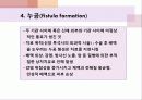 상처간호PPT 26페이지