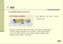간호학개론 안위 17페이지