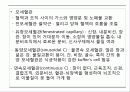 순환기계 (circulatory system) 6페이지