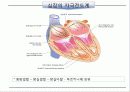 순환기계 (circulatory system) 12페이지